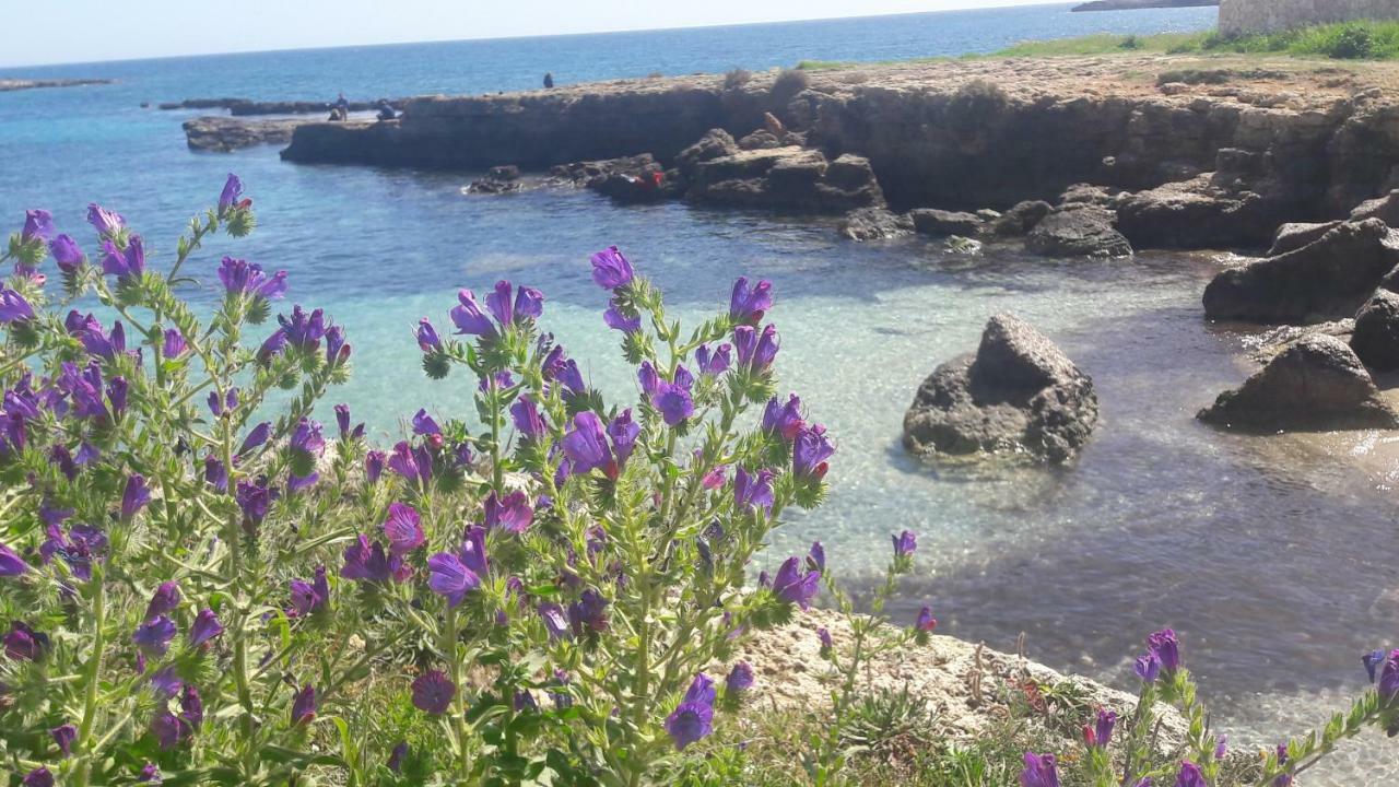 "Suliscenti" Dimora Siciliana B&B Avola Kültér fotó